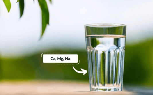 Why Ditch Your Traditional Salt-Based Water Softener and Under-Sink RO for a Modern Whole-Home Filtration System? - Tradewinds Water Filtration