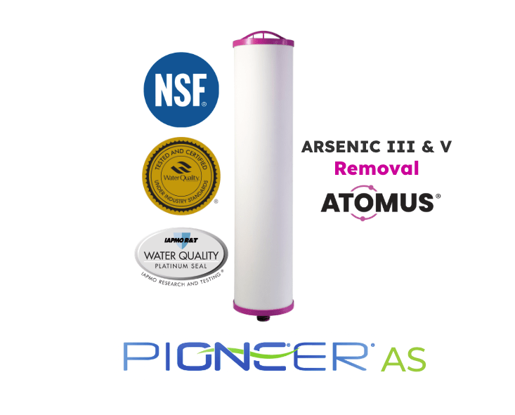PIONEER AS - 2 Stage ARSENIC Removal System - Tradewinds Water Filtration
