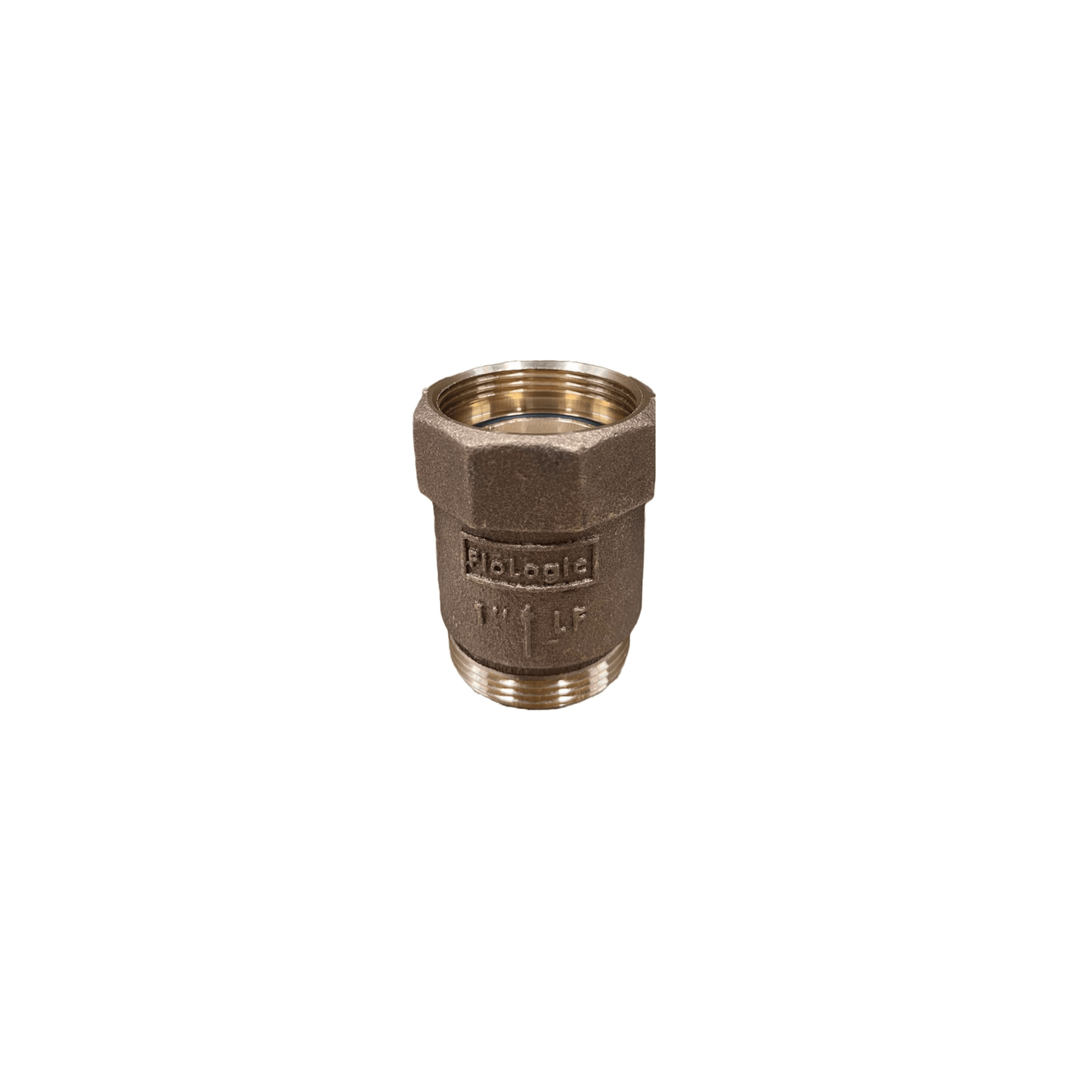 1" Spring Check Assembly - Tradewinds Water Filtration