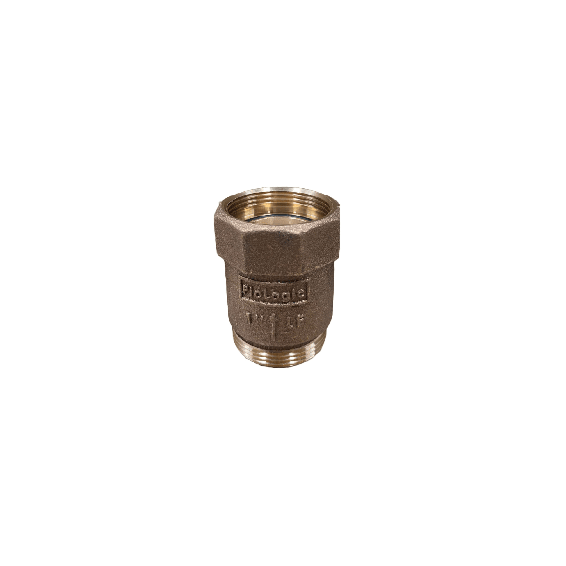 1" Spring Check Assembly - Tradewinds Water Filtration