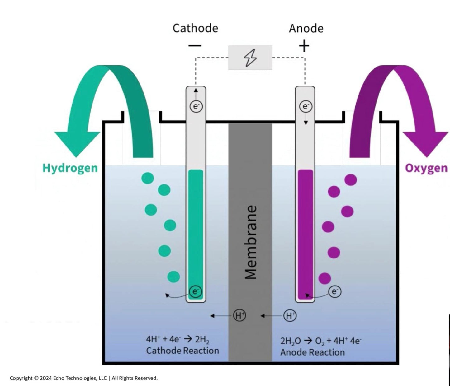 Echo Go+ Hydrogen Water Bottle - Tradewinds Water Filtration